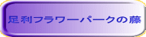 t[p[N̓ 