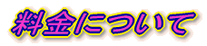 ɂ