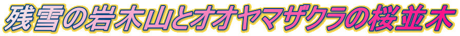 c̊؎RƃII}UN̍