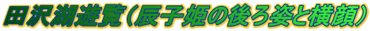 cΗViCqP̌pƉj